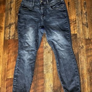 Judy Blue Skinny Fit Jeans - 14W